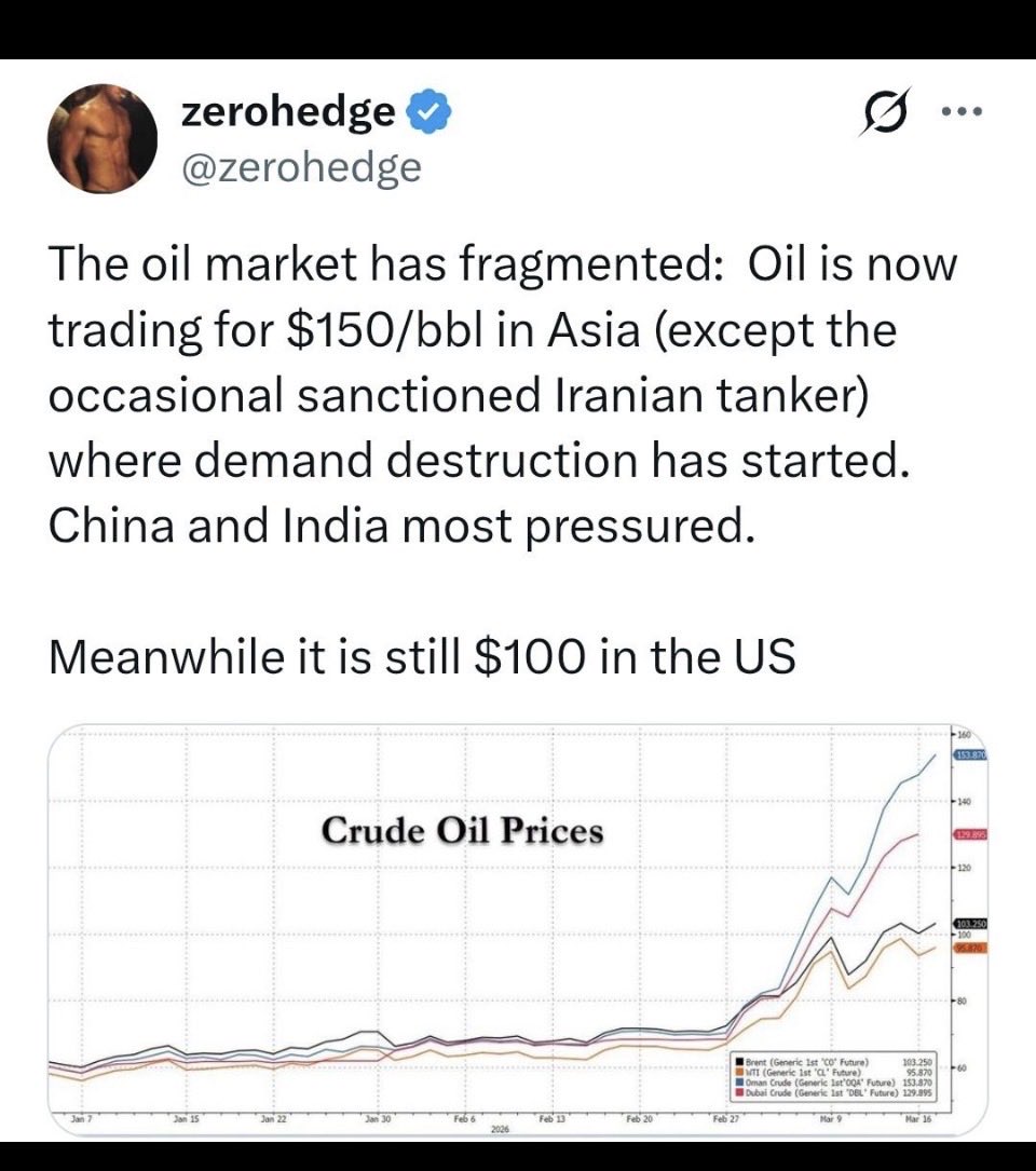 Robin Schaefer tweet media