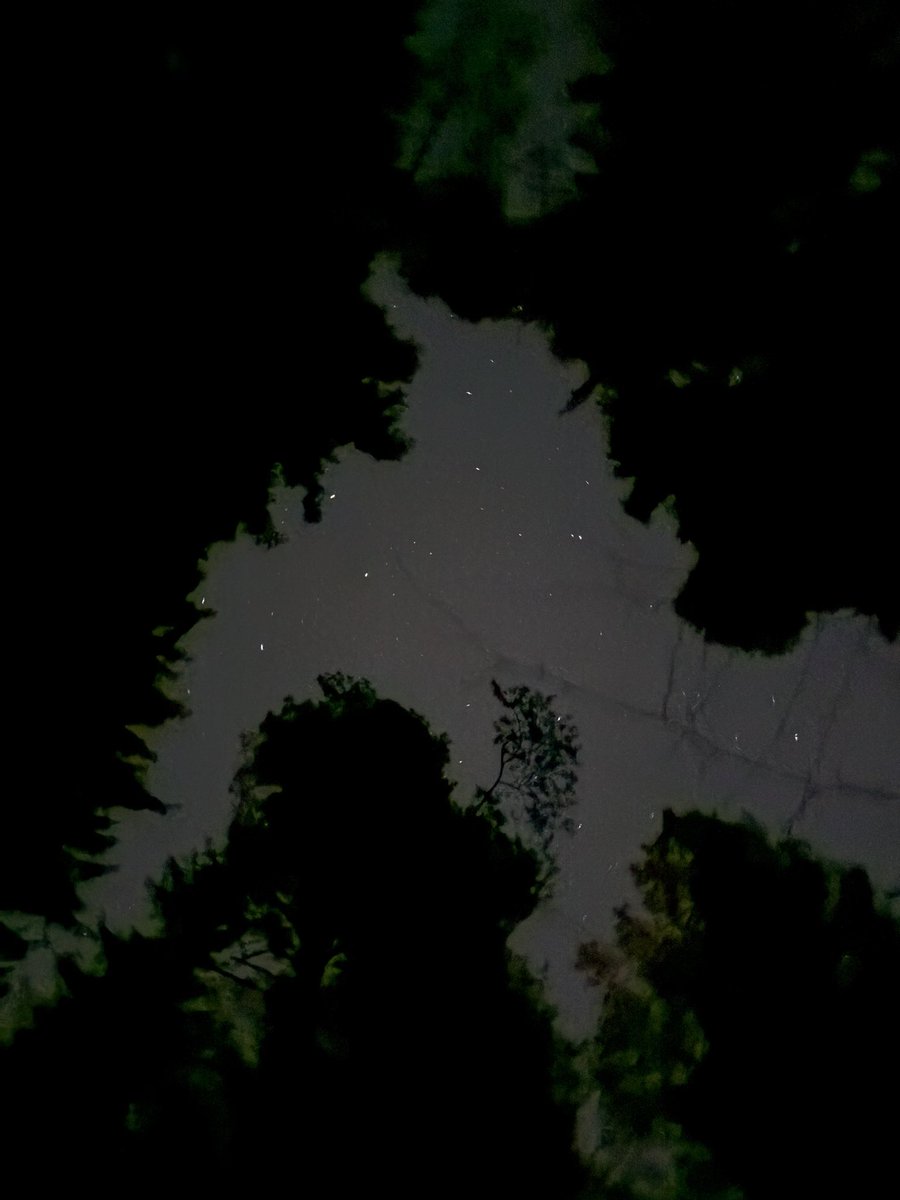 Arvid Strand tweet media