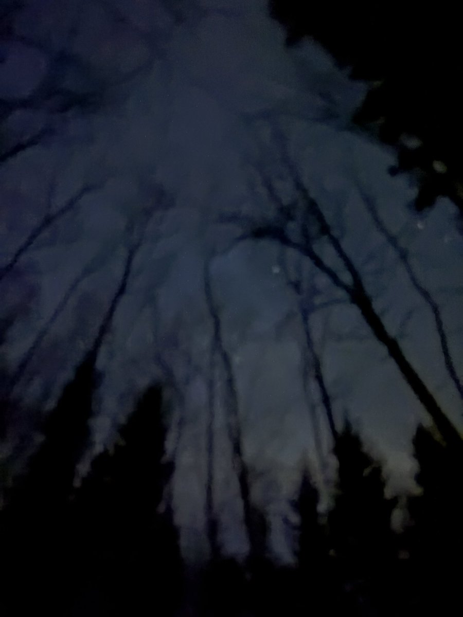 Arvid Strand tweet media