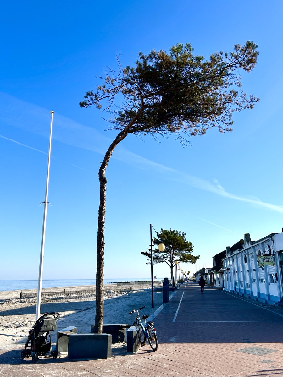 Esther Zijlstra tweet media