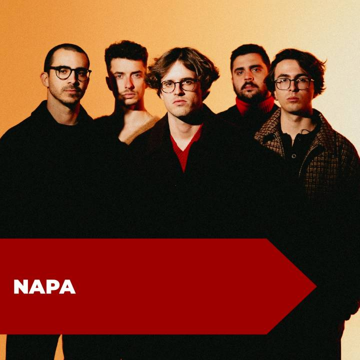 Vote Portugal tweet media