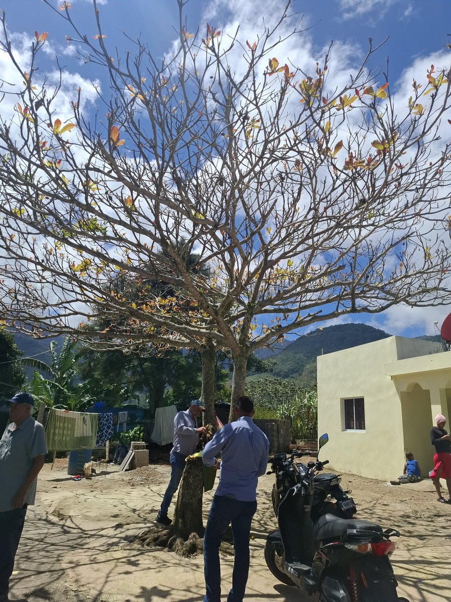 ᴀʟɢᴇɴʏ ᴇsᴘɪɴᴏ 💬 tweet media