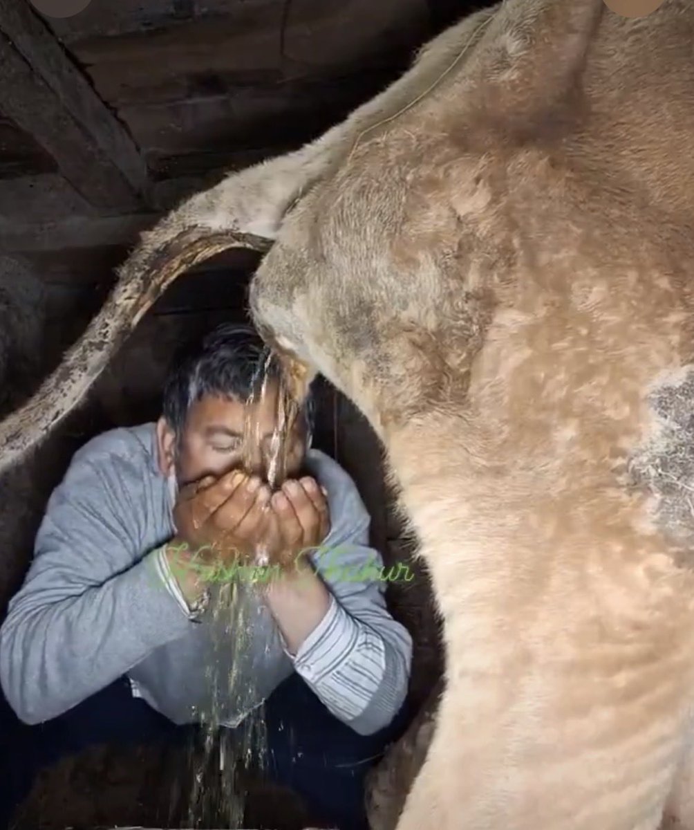 GO2 = Gobar2 tweet media