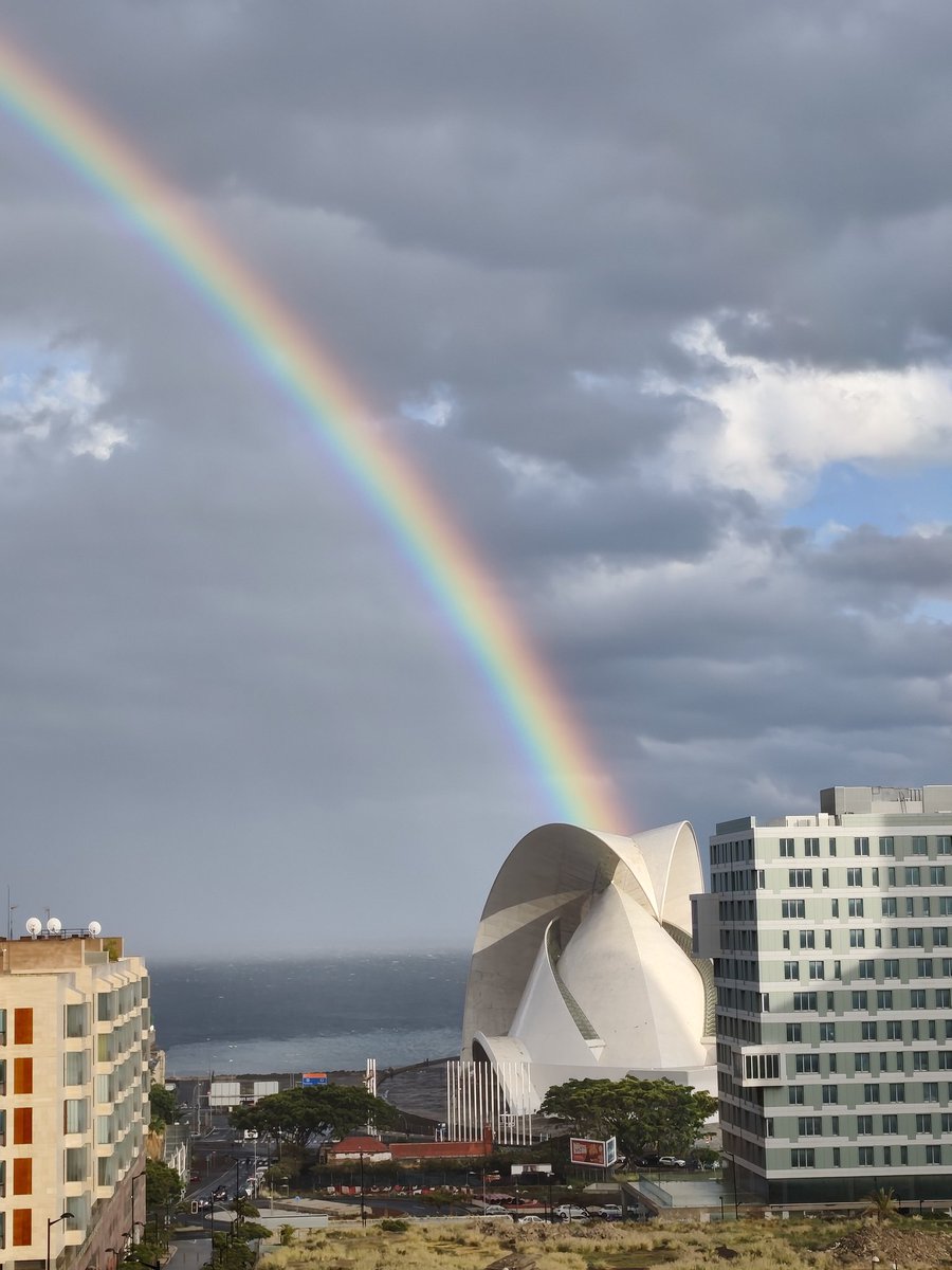 Noemi Martín tweet media