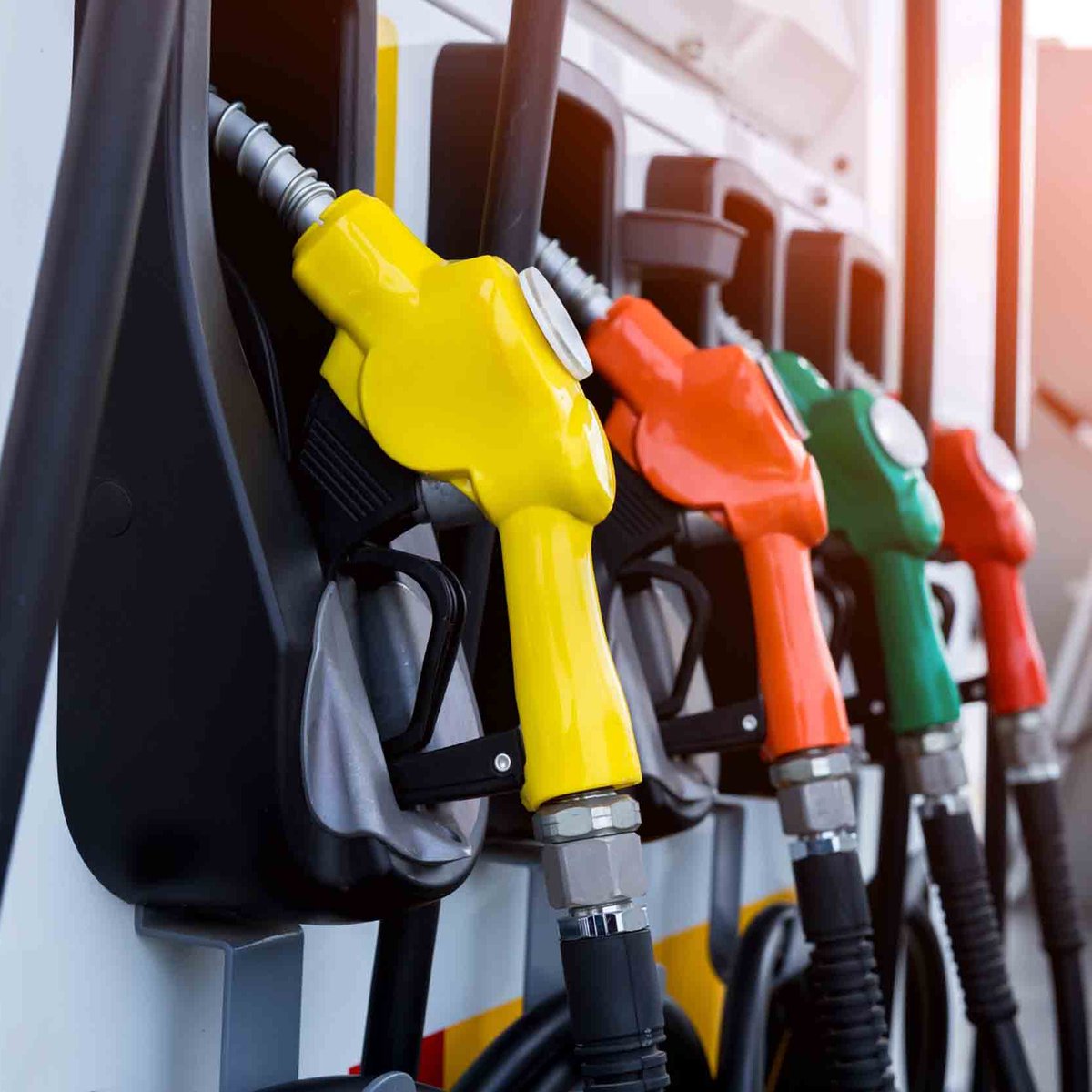 BPT Finans tweet media