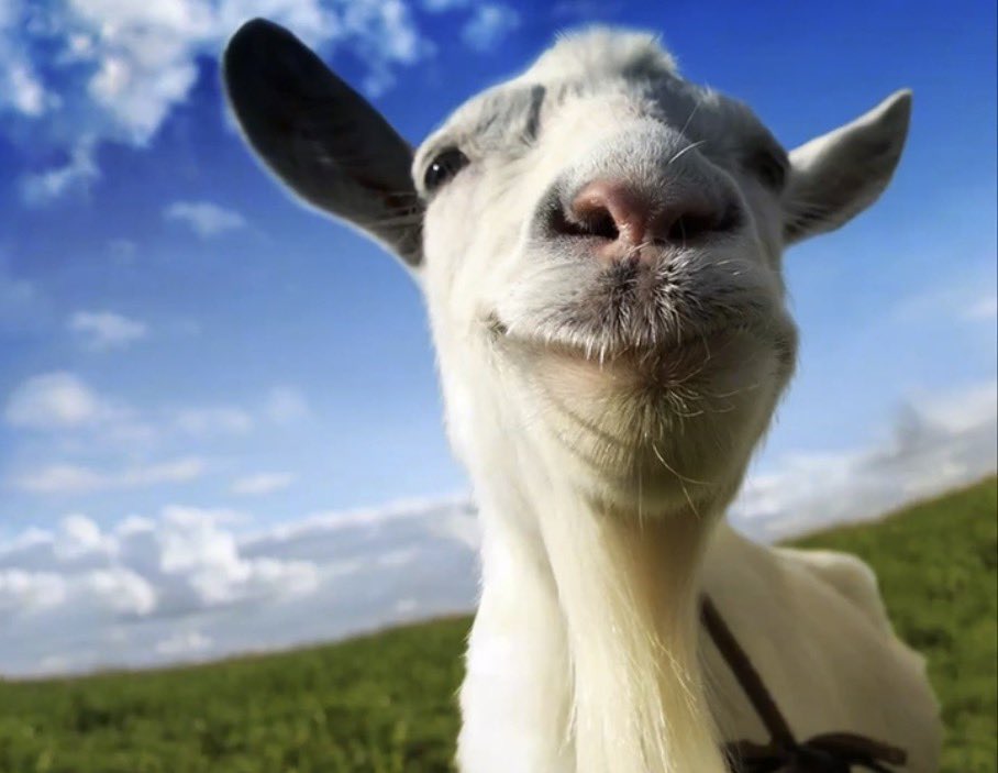 PerhapsKit tweet media