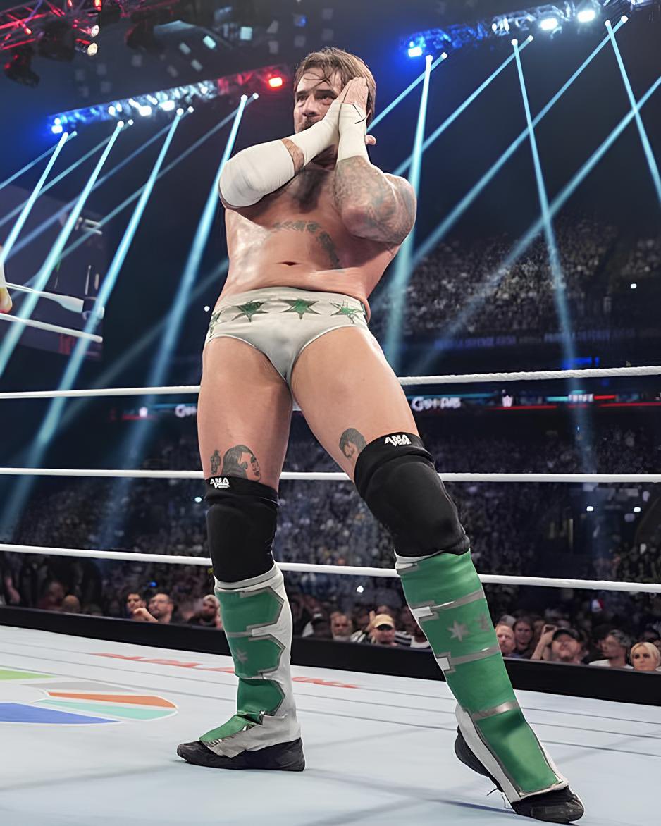 hourly cm punk tweet media