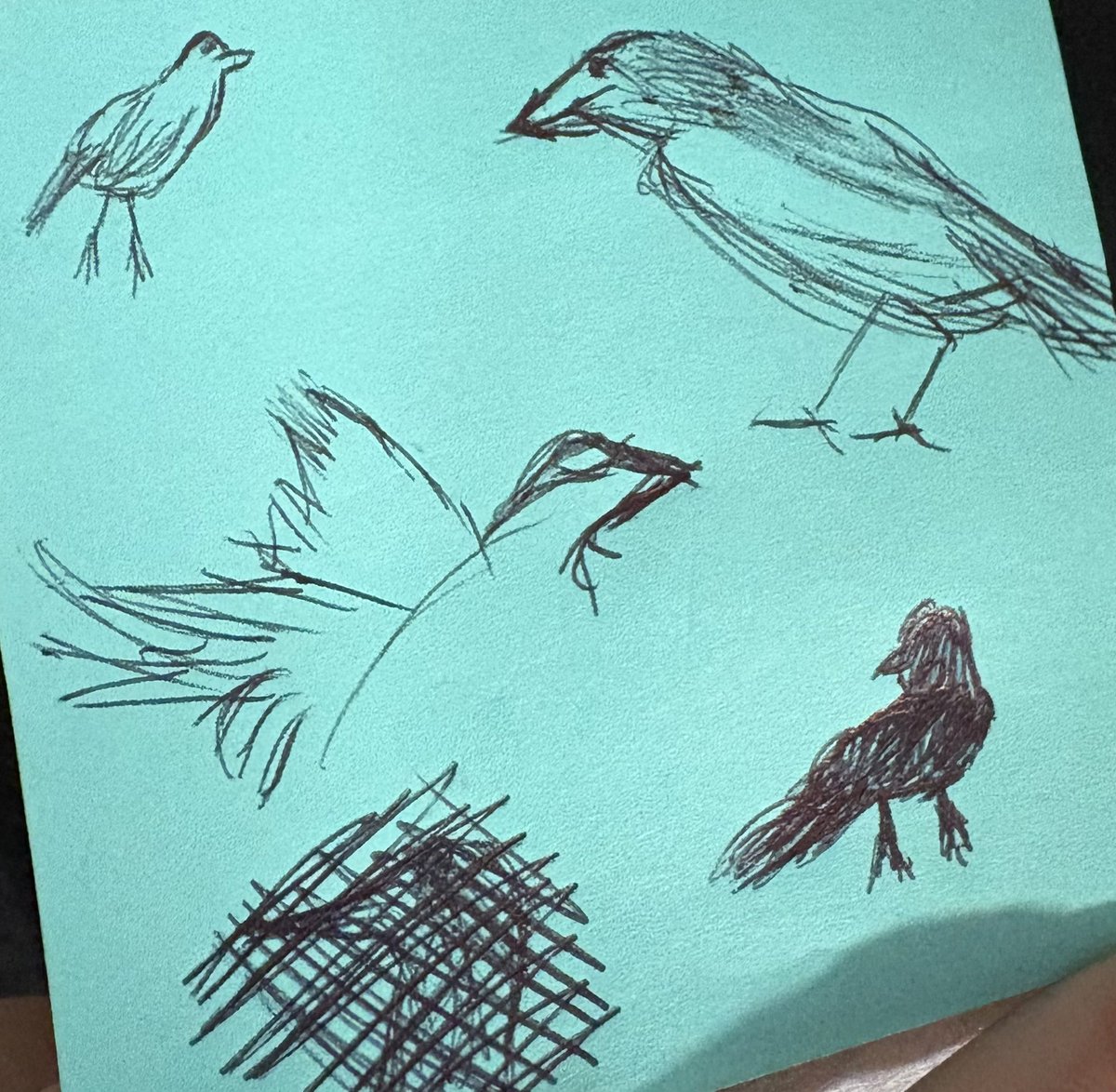 Kayla Nuts tweet media