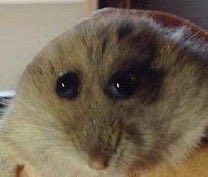 Thanateezy tweet media