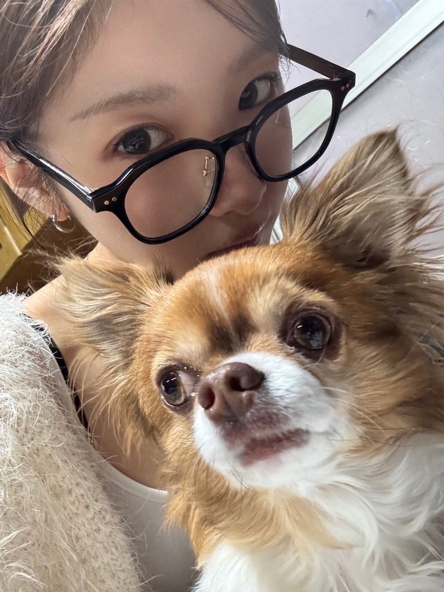 FranceYukiFan's tweet photo. |📍Twitter |
Le chien de ma grand-mère ressemble tellement à Pennywise.
-🌹 https://t.co/iZs0ZdUvne