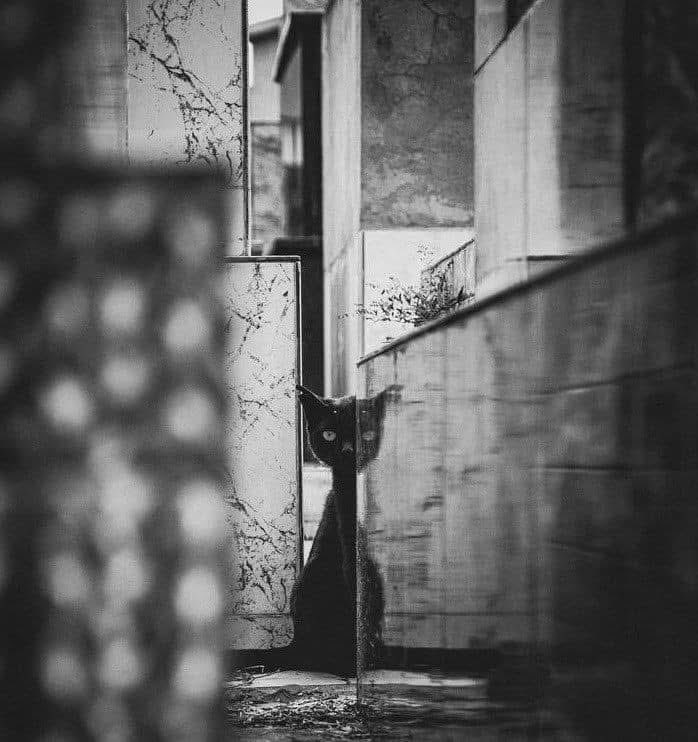 The 13th Disciple tweet media