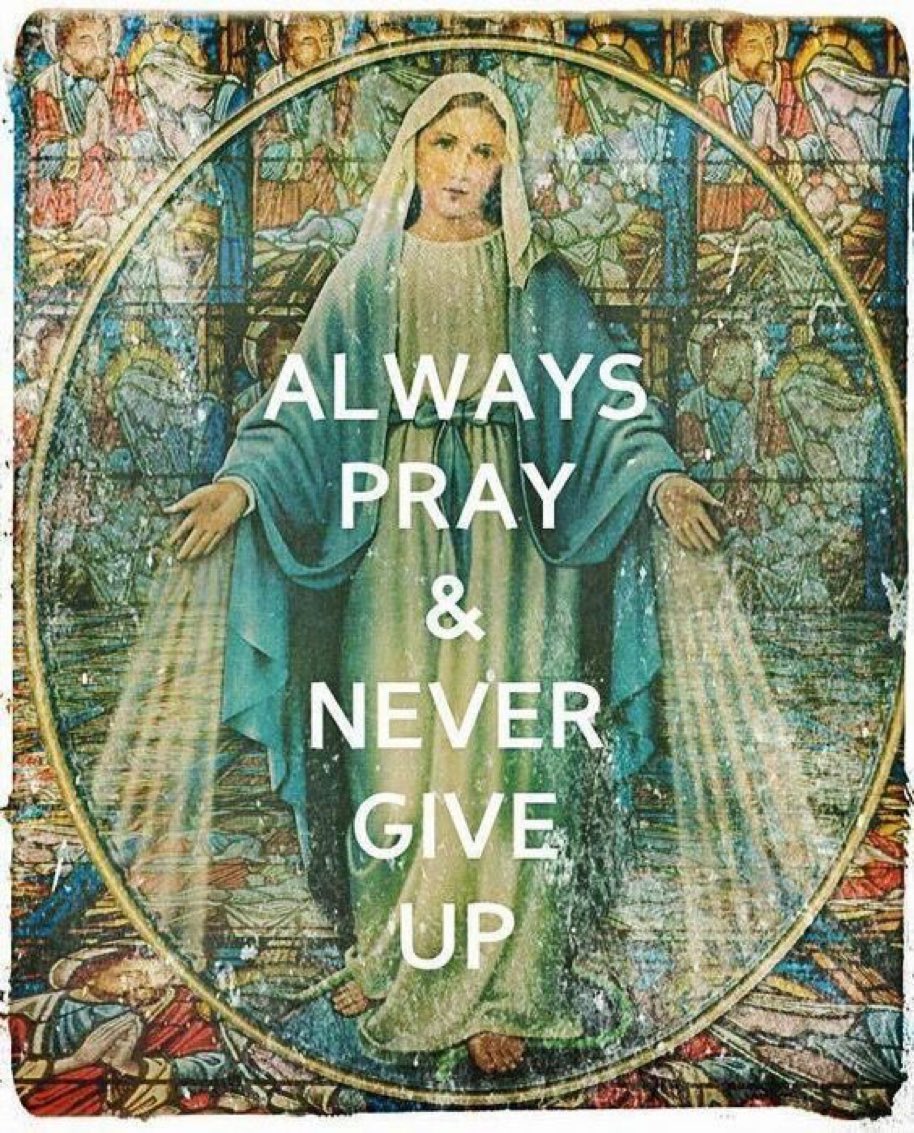 ingenieria sn tweet media