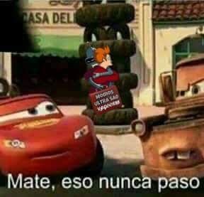 Soooph 🐝 tweet media