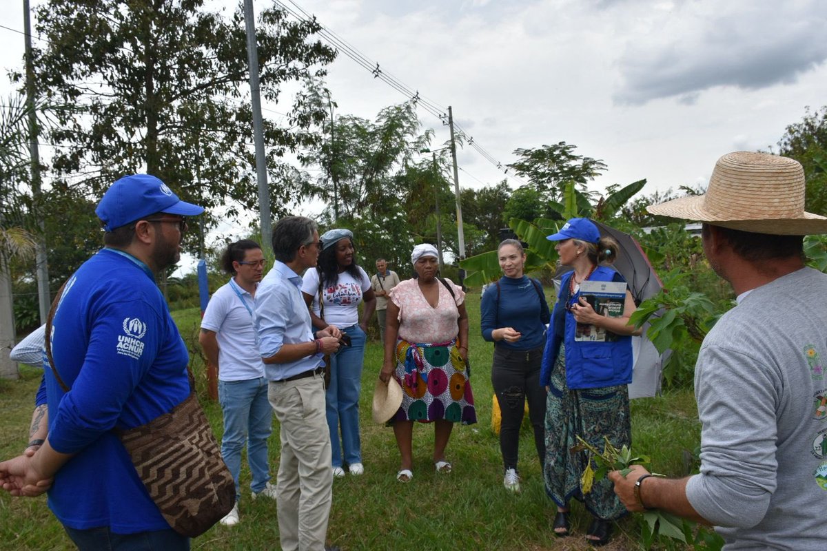 Elisa Carlaccini tweet media