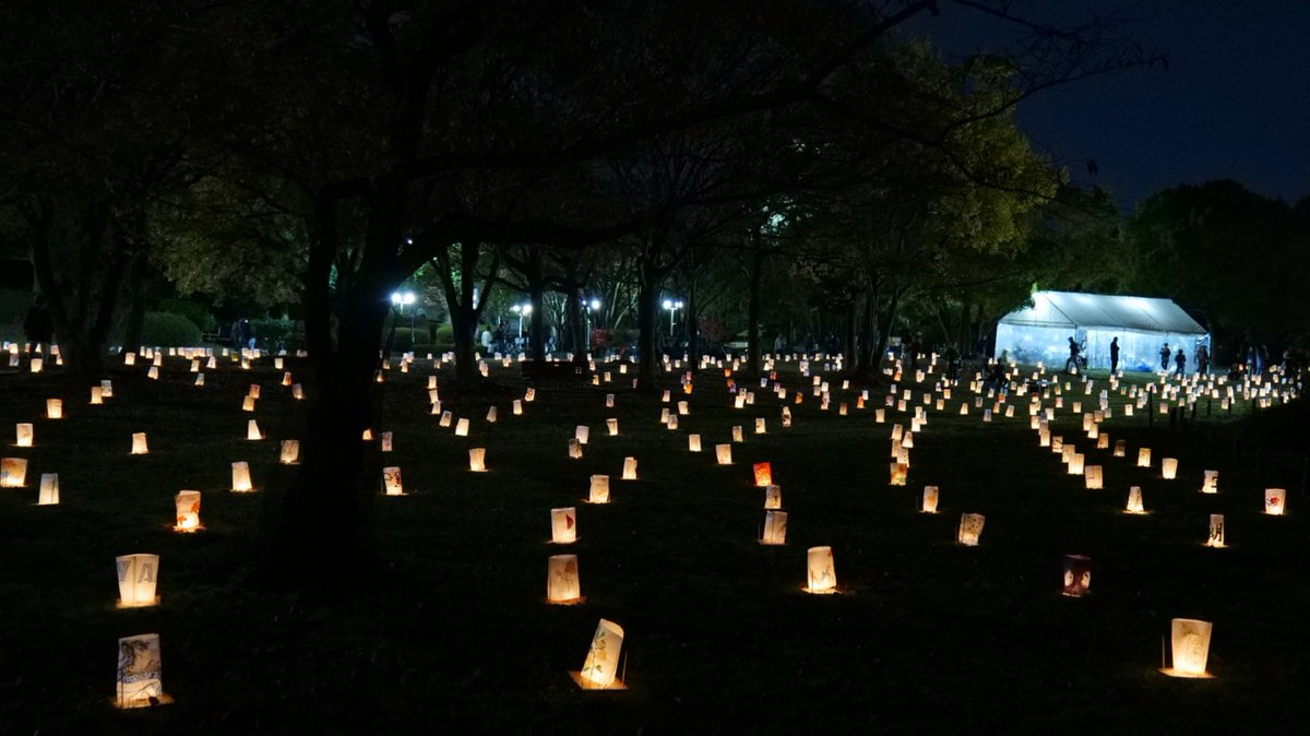 FUayusakai's tweet photo. 【幻想夜】大仙公園が光に包まれる|みんなの絵灯ろう 万灯絵2025(2025年11月29日) https://t.co/DJMUyOjEYN #大仙公園 #万灯絵 #絵灯ろう #堺市 #ライトアップ #秋の風景 #夜景 #日本の風景 #癒し動画 #イベント
#DaisenPark #LanternFestival #Mantoue #JapanNight #AutumnJapan #LightFestival https://t.co/Ni4ZUJtqih