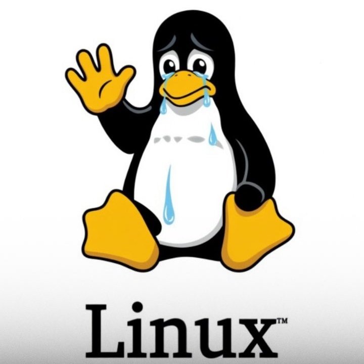 ガブリエル Entity 303 ✝️| LEI FELCA NÃO tweet media