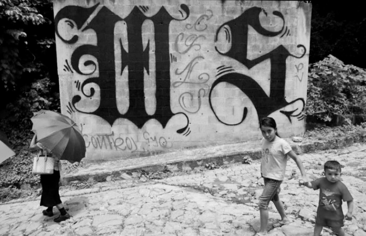 Jose Valdez 🇸🇻 tweet media