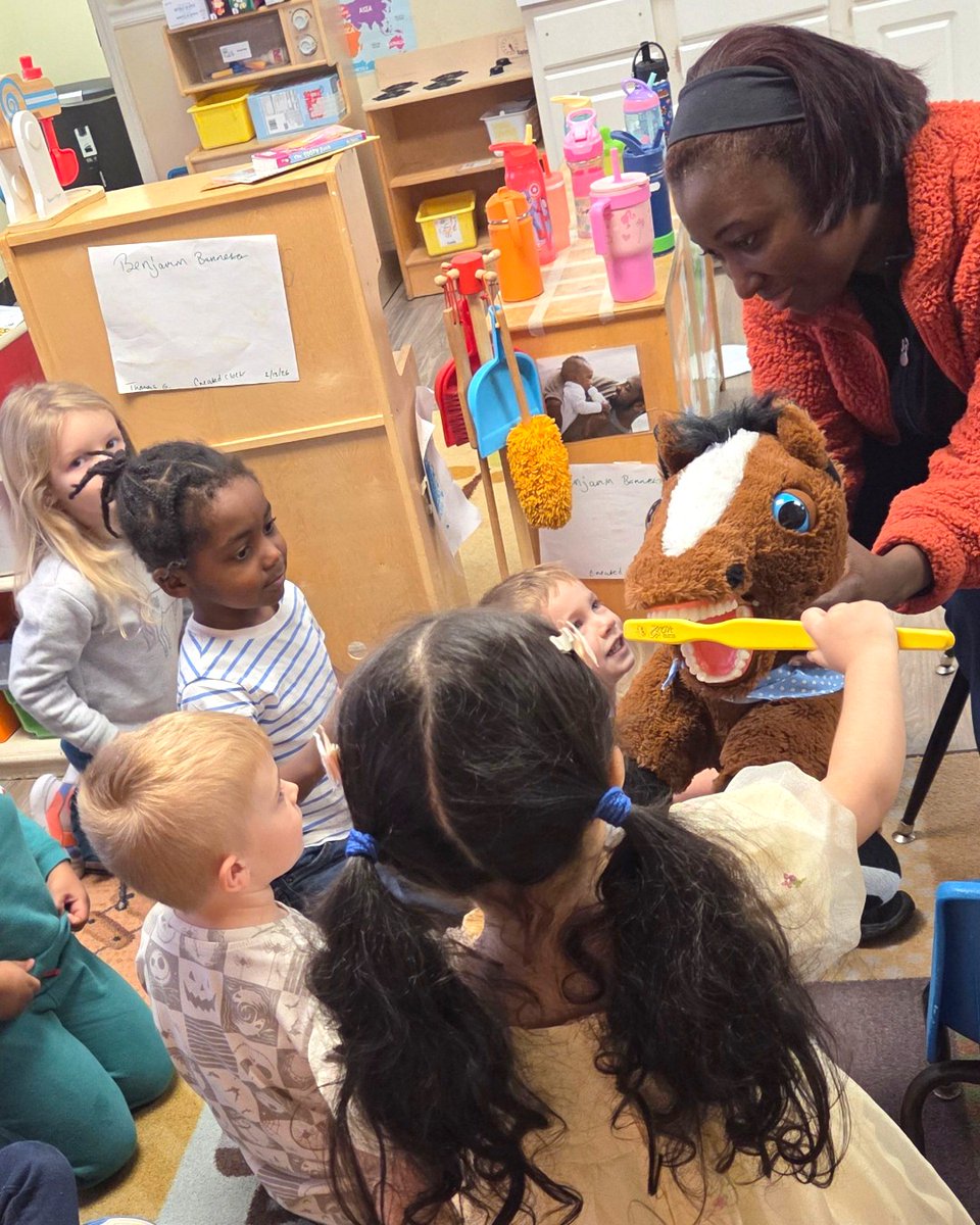 The Sunshine House tweet media