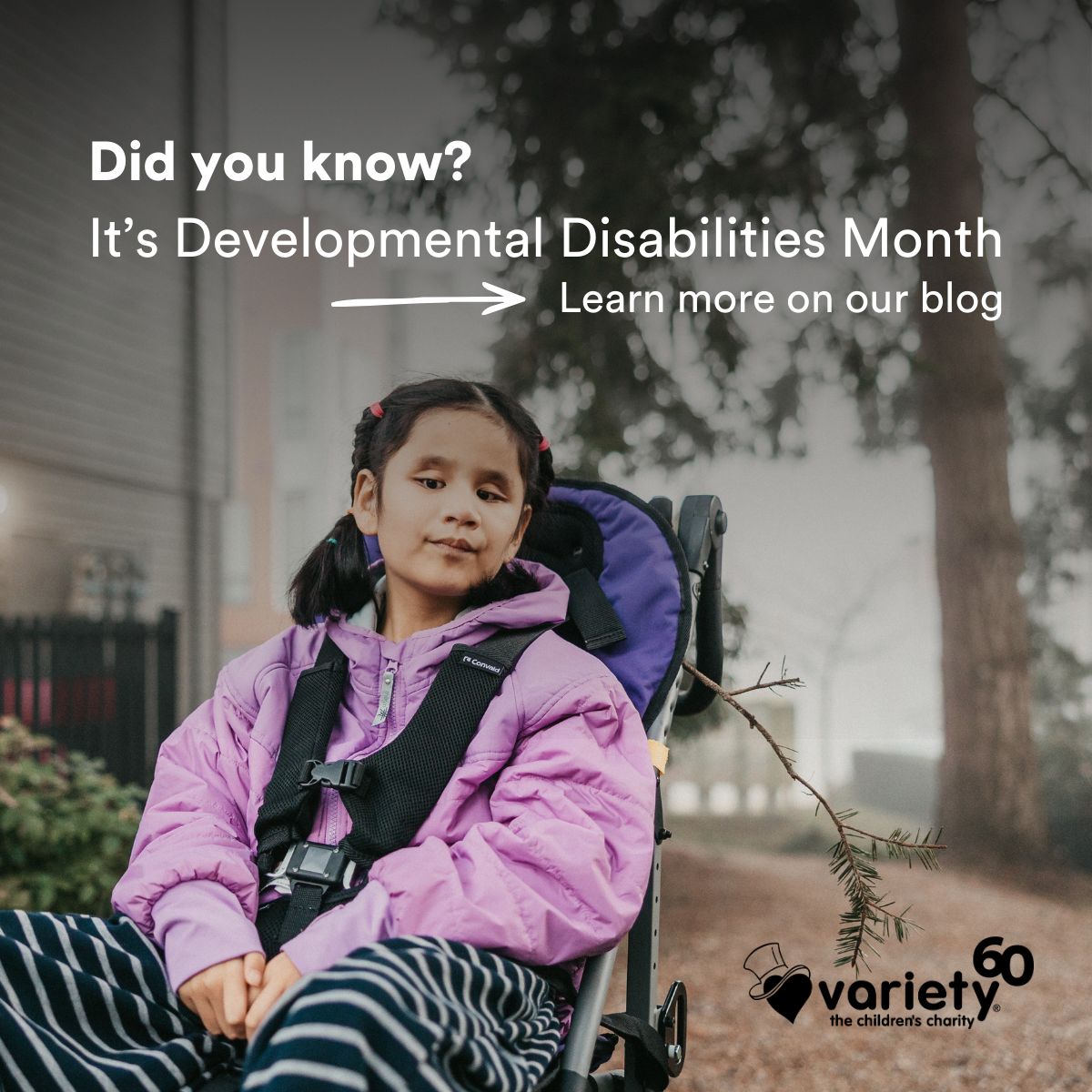 VarietyBC tweet media