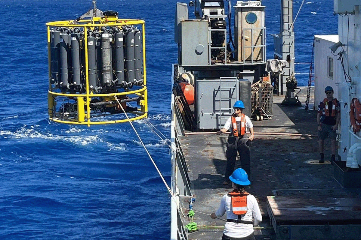 Bigelow Laboratory tweet media