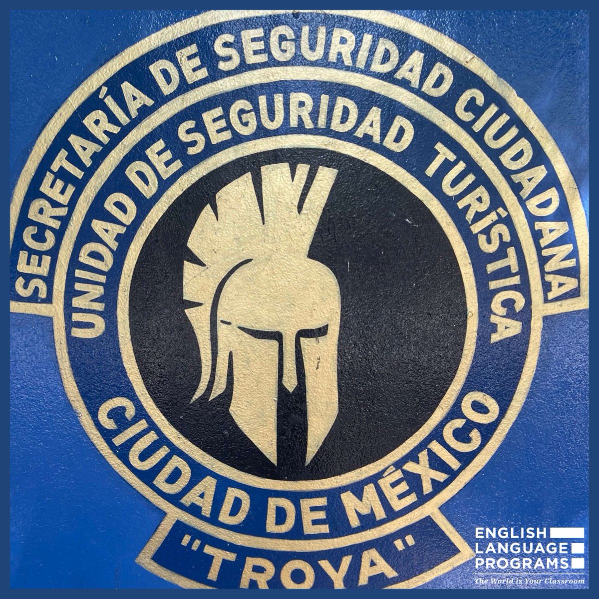 English Language Programs tweet media