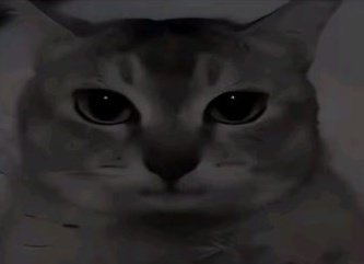 el mismísimo mrgalacx0 tweet media