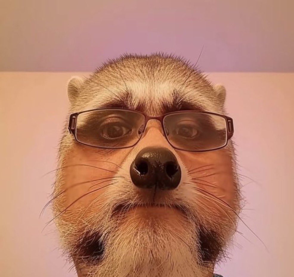 Bluebell tweet media