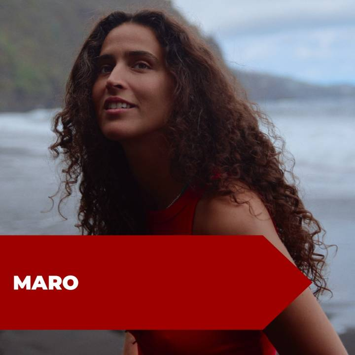 Vote Portugal tweet media