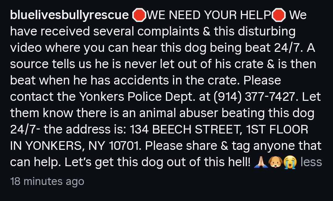 Foster a shelterpet at ZERO COST🐾 tweet media