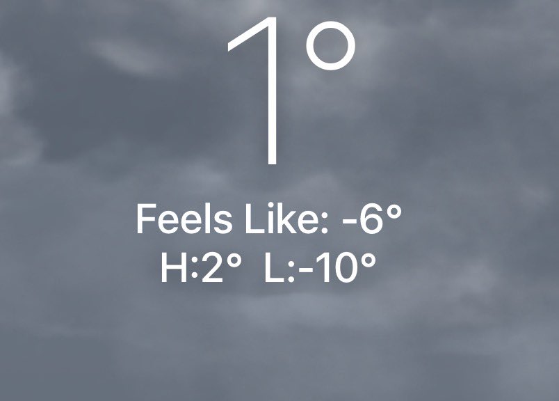 kafkamus 🪳 tweet media