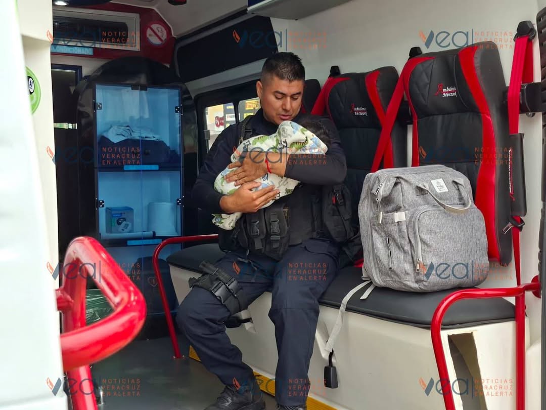 Veracruz En Alerta tweet media
