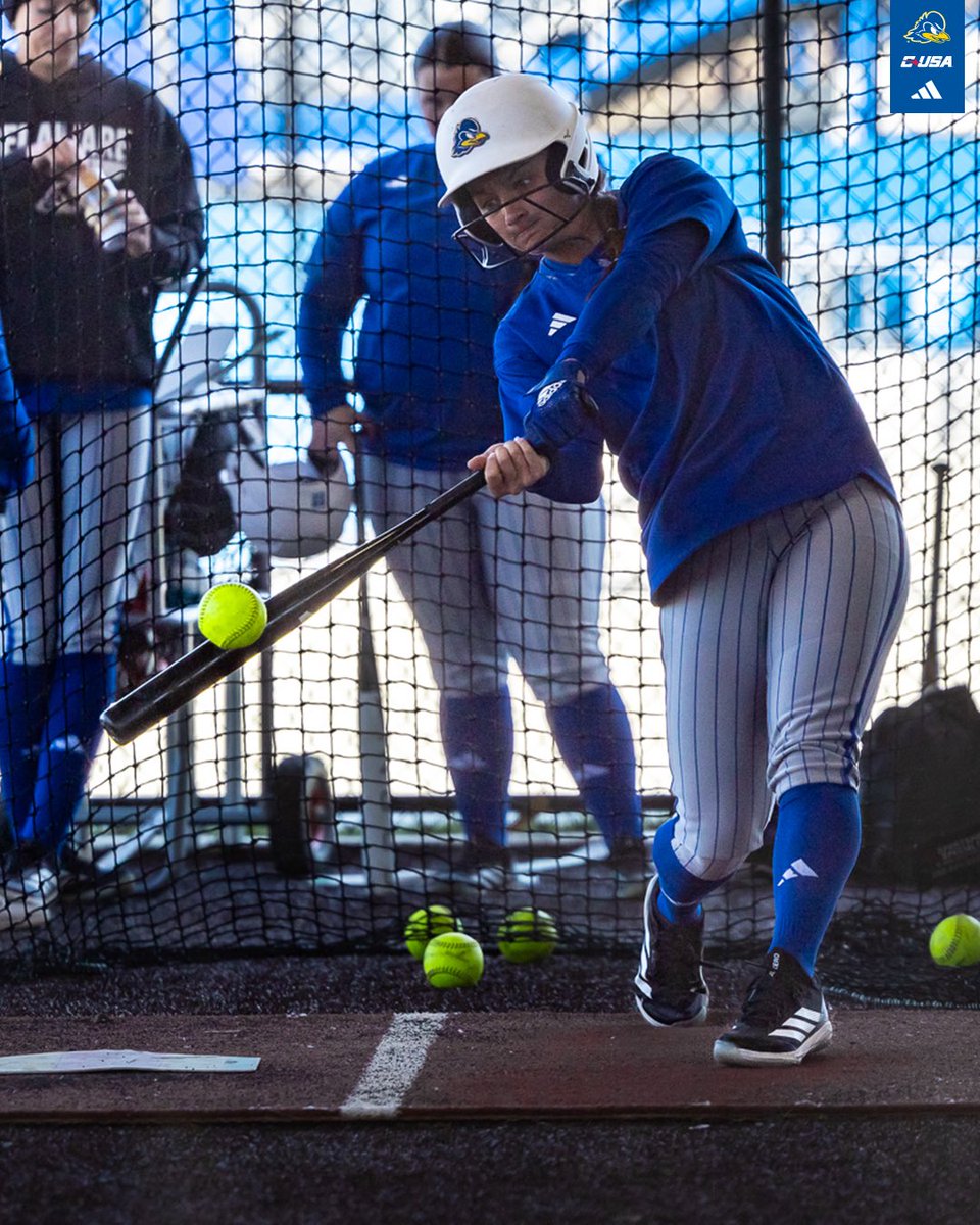 Delaware Softball tweet media