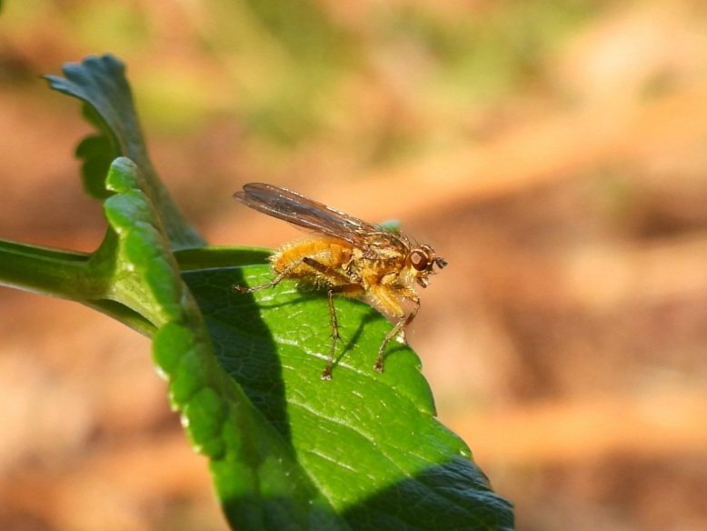 Mark Clements tweet media