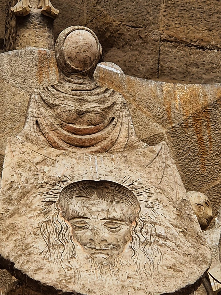 RED PILL MONKEY 🔴🐒 tweet media