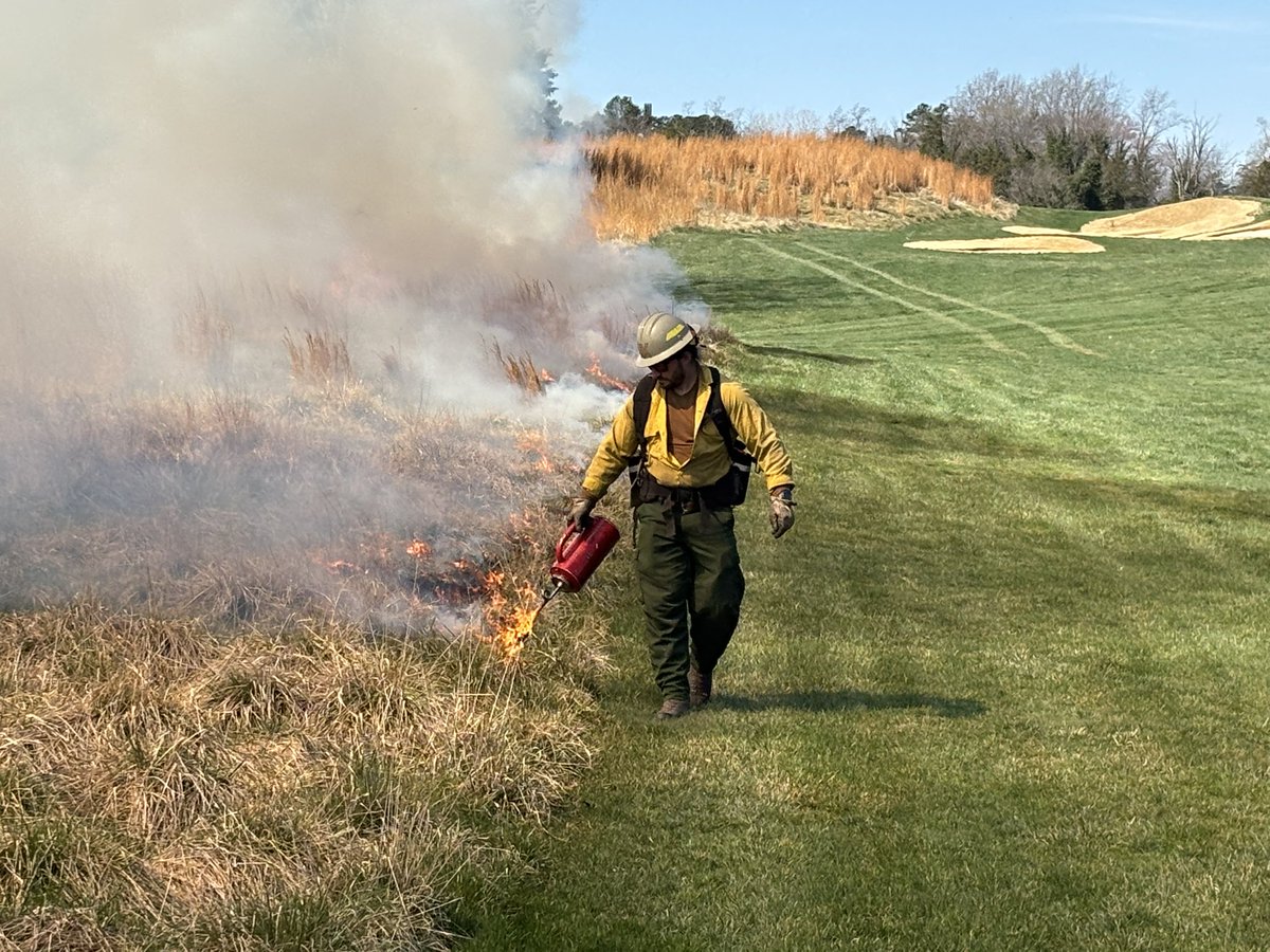 Troy Fink tweet media