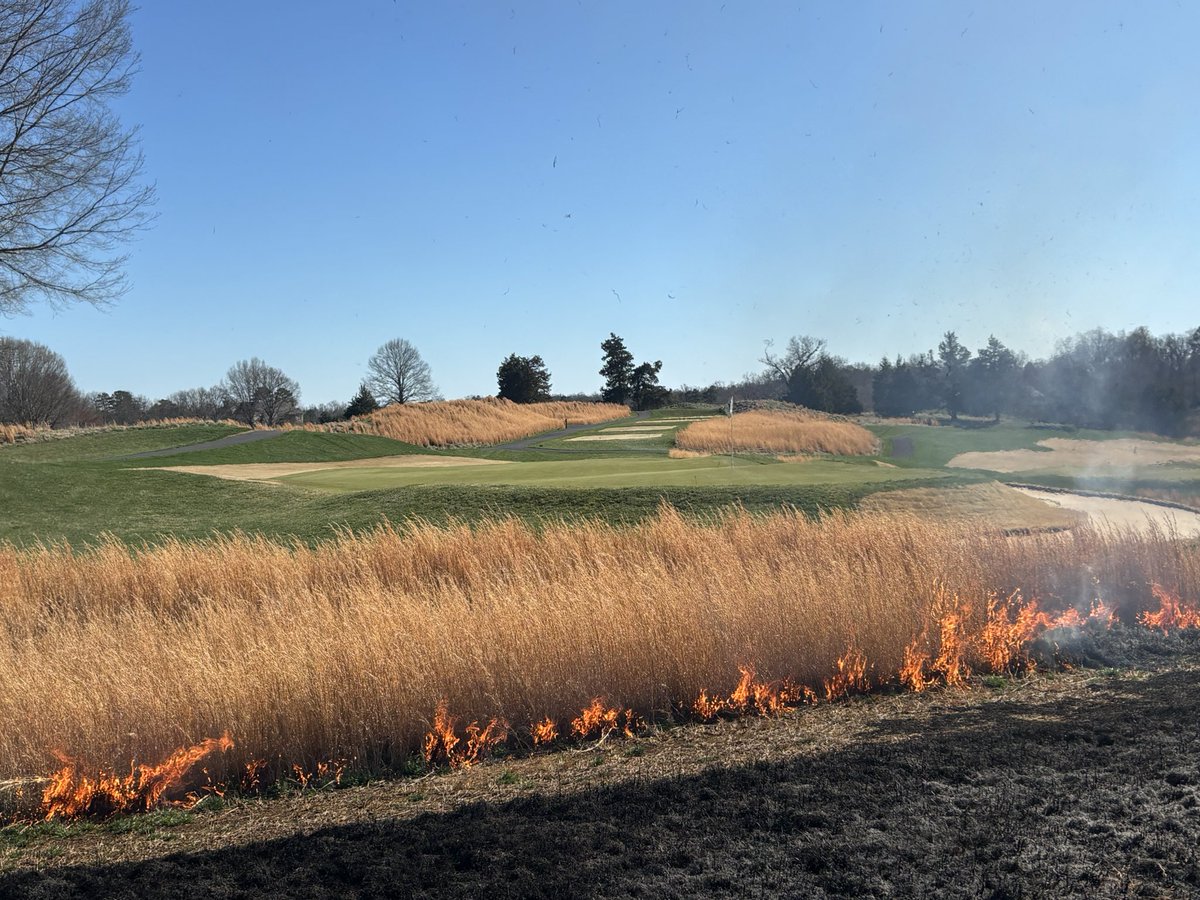 Troy Fink tweet media