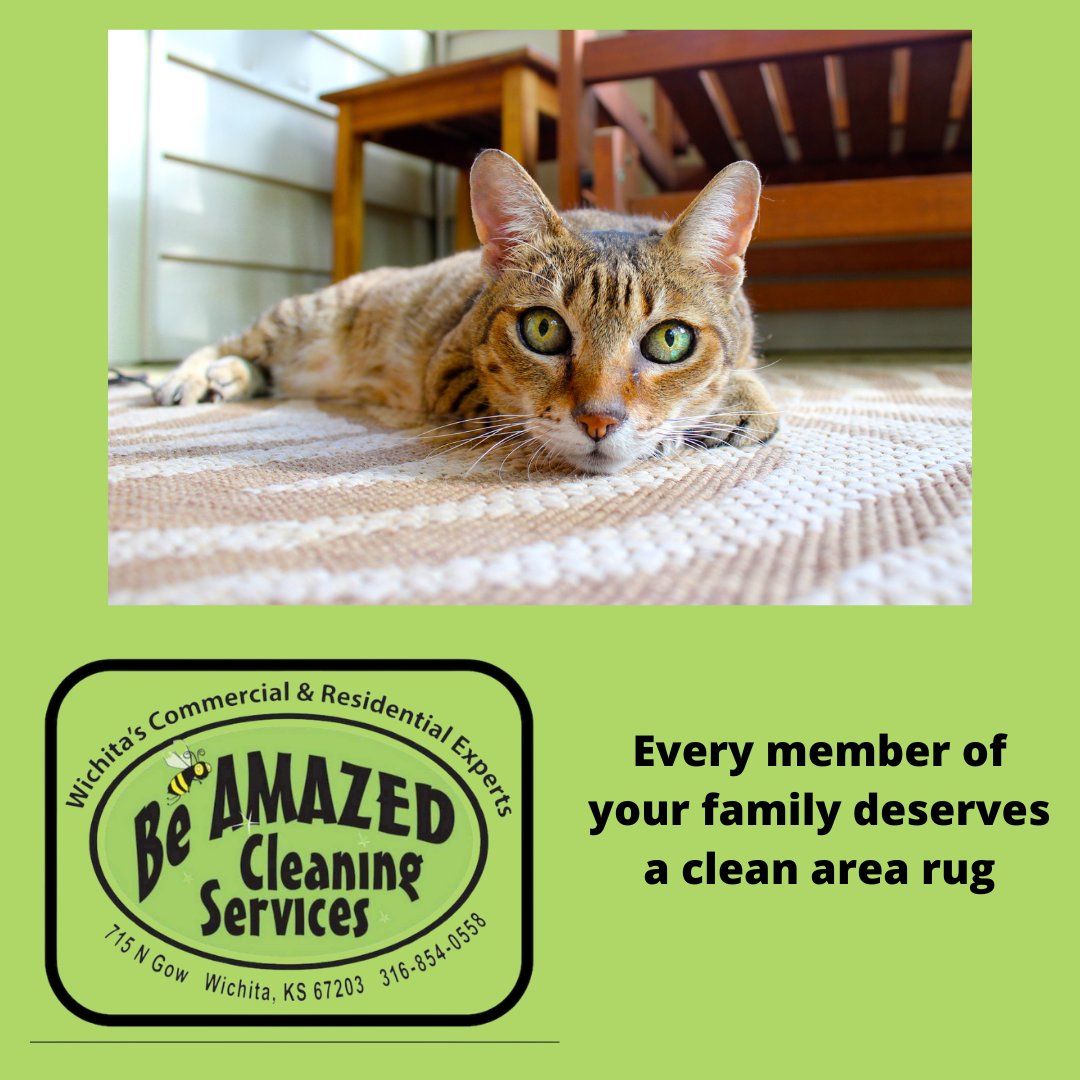 beamazedclean's tweet image. Exactly!

#wichita #housecleaning #janitorial #clean #carpet #upholstery #airduct #arearug #dryervent #carpetstretch #carpetrepair #vinylfloor #office #apartment #couch #chairs