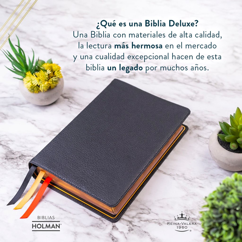 B&H Español tweet media