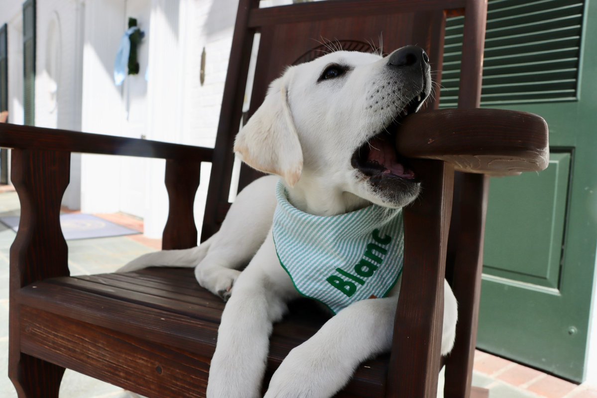 Governor Jeff Landry tweet media