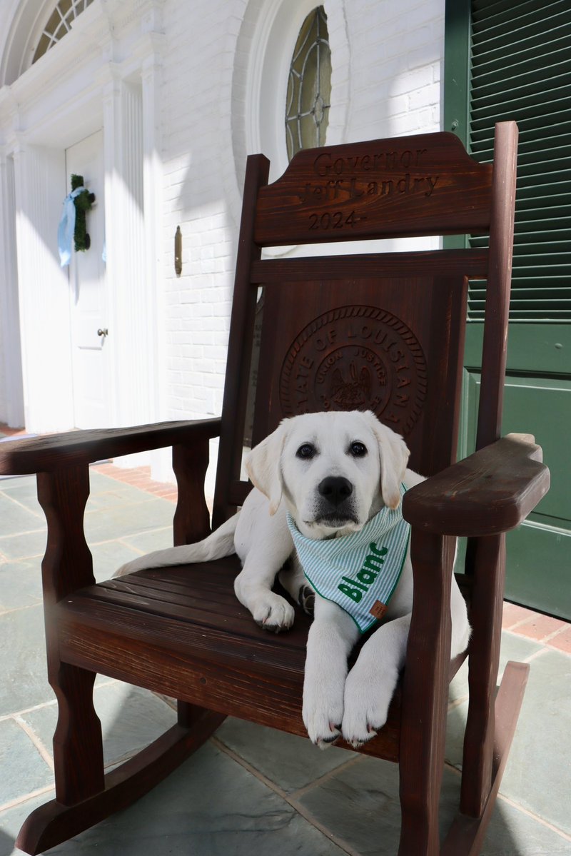 Governor Jeff Landry tweet media