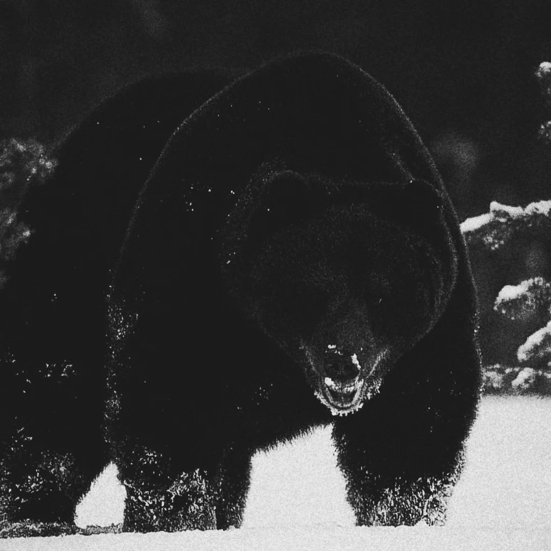 𝖆𝖗𝖙𝖟~𝖓𝖔𝖜 (@artznow_) on Twitter photo 