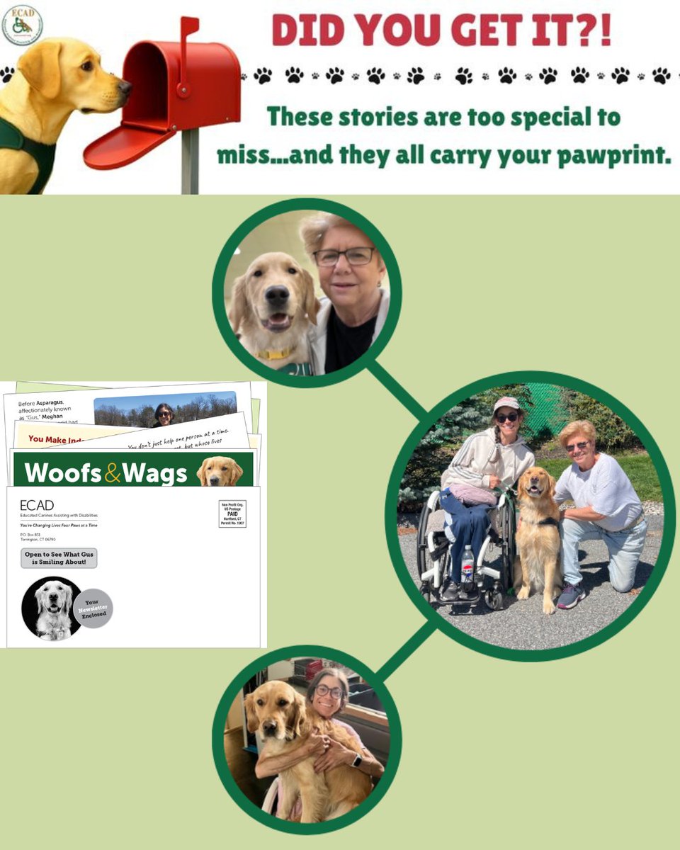 ECAD Service Dogs tweet media