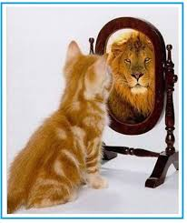 Len De Leeuw tweet media