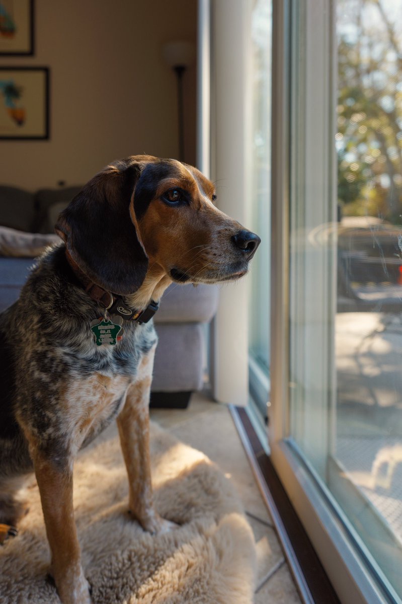 J. Earon / HeIsCarbon 🔜 DreamHack ATL 26’ tweet media