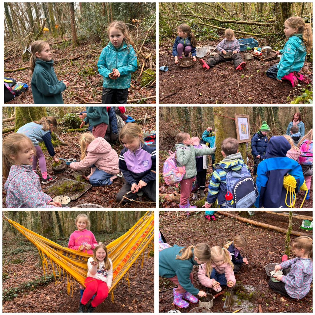 Barefield National School tweet media