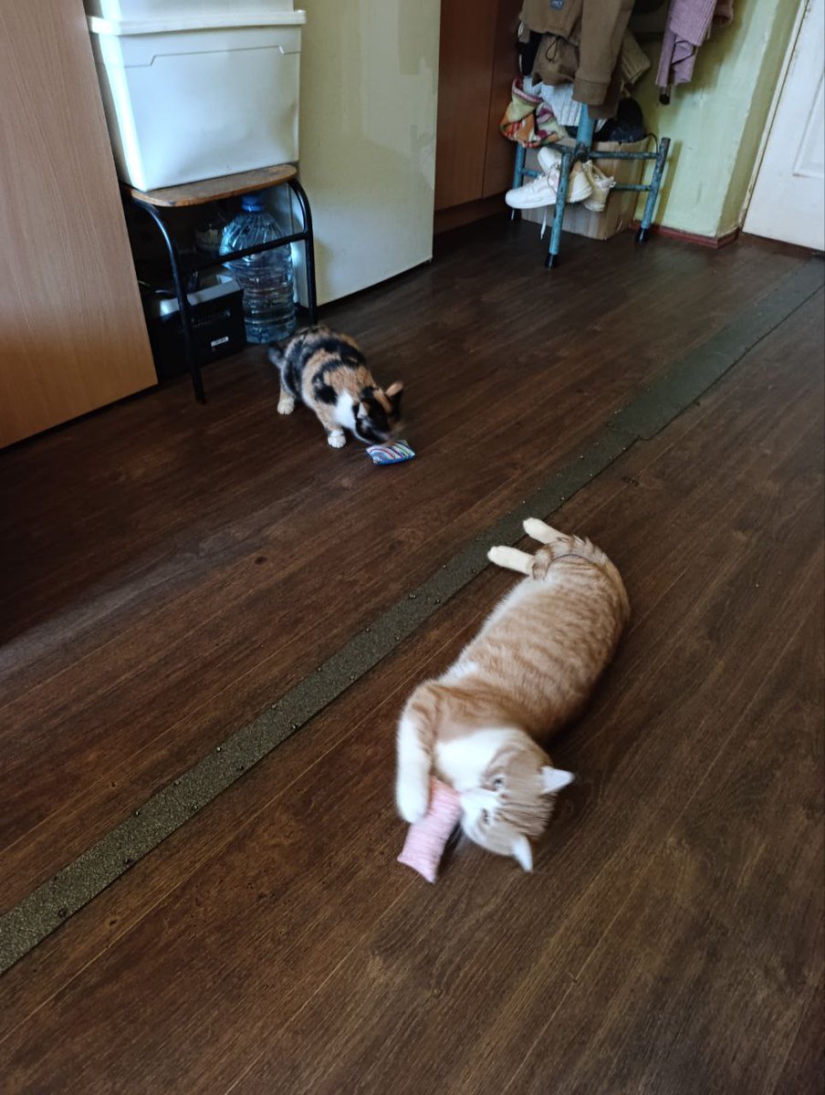 Julia Subbotina tweet media