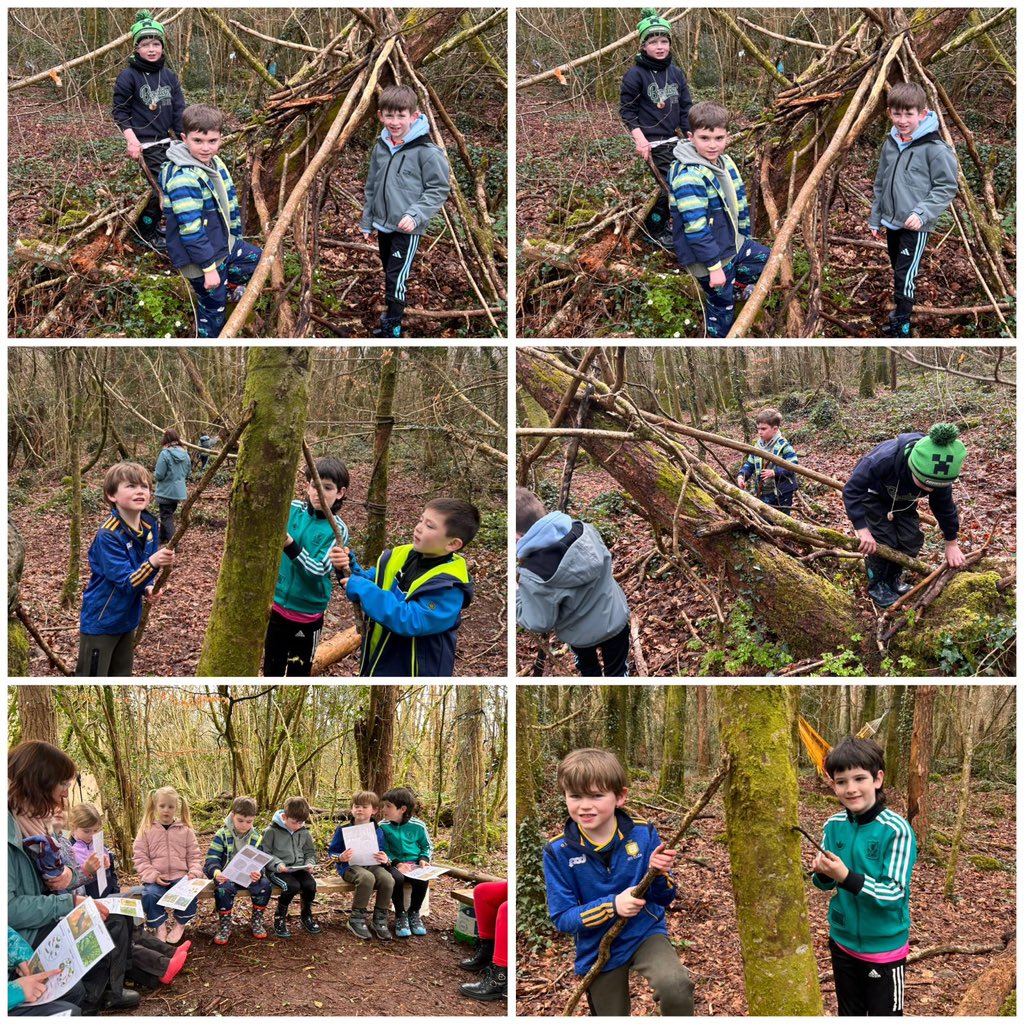 Barefield National School tweet media