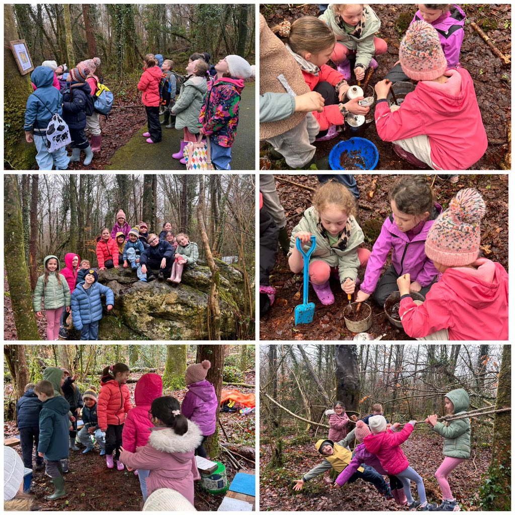 Barefield National School tweet media