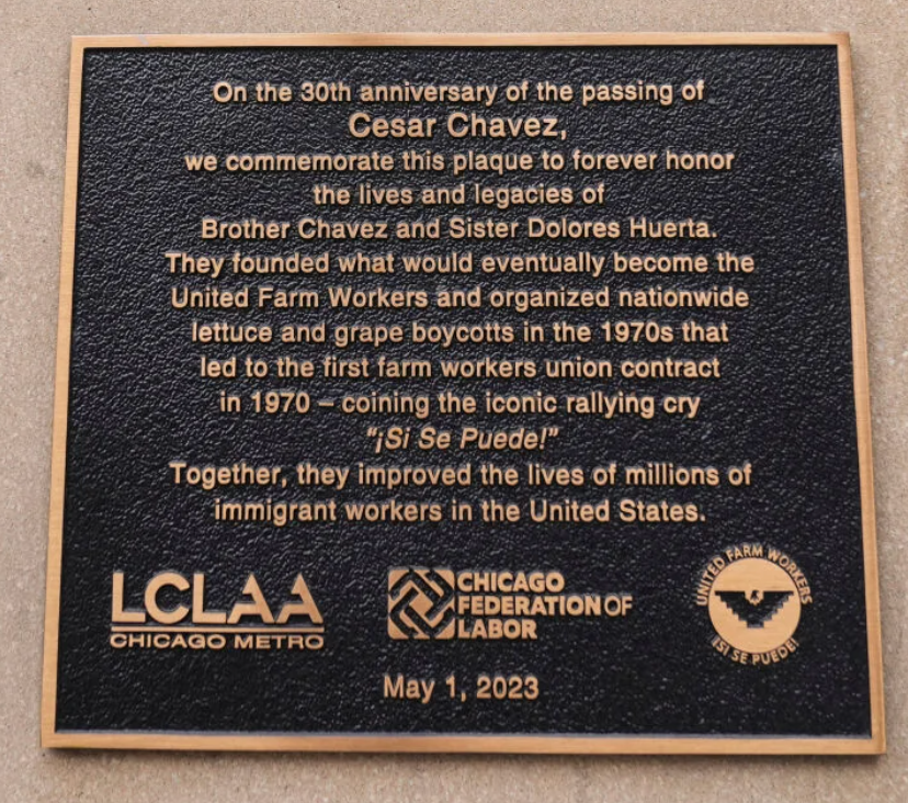 Citizen 𝑣𝑠 Machine, PhD tweet media