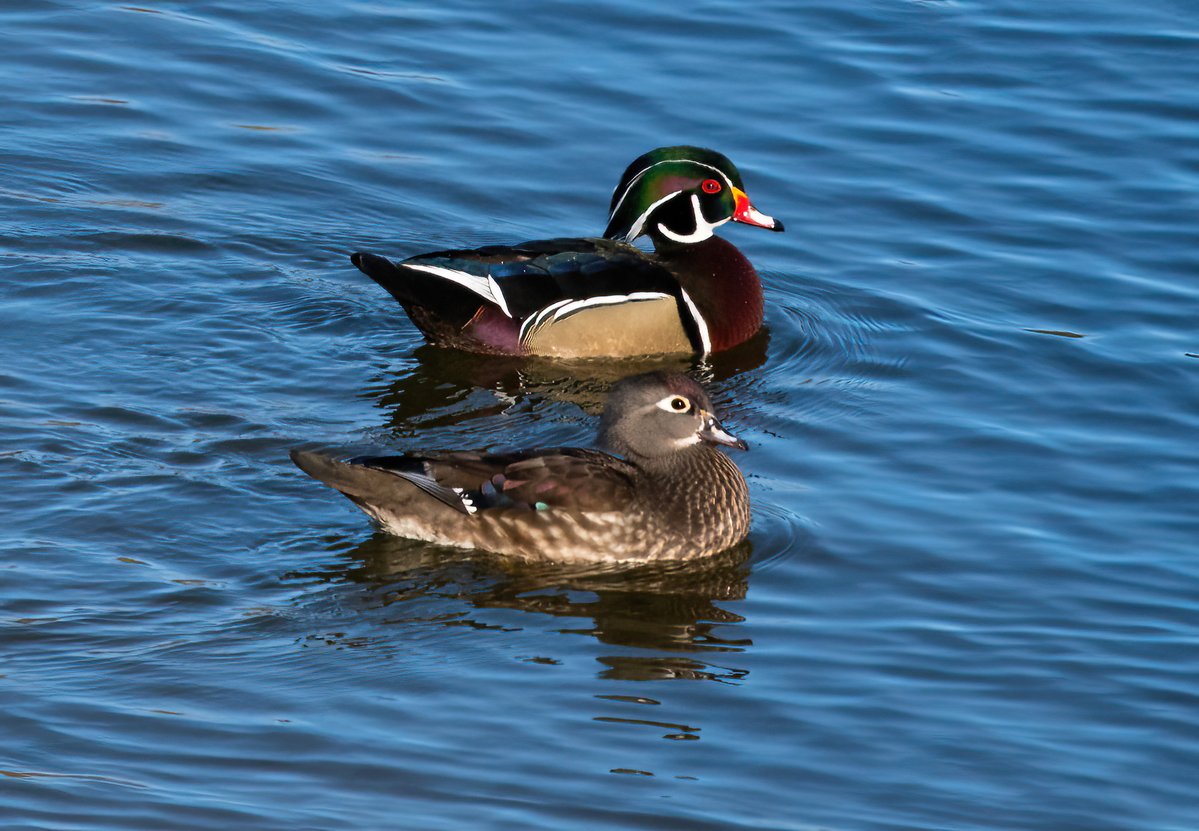 The Only James Magelk tweet media